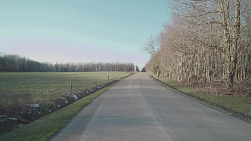 Road surrounded by a grassy area and a forest outdoors during day time