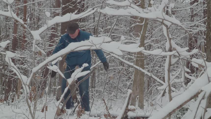 The man tears a branch off the tree