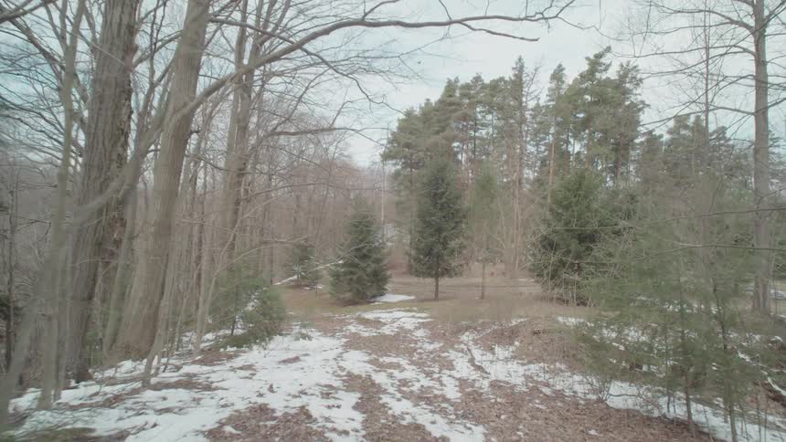 Forest area with small amouts of snow on the ground outdoors during day time