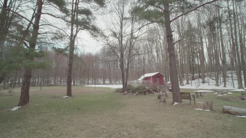 Red cabin surrounded by trees in a field partially covered with snow