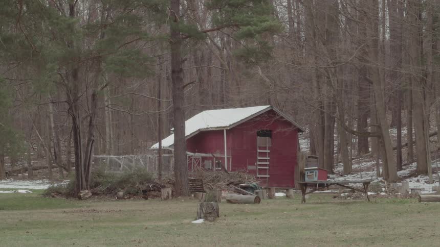 The video shows a wide shot of a small red barn with a white roof nestled in a clearing surrounded by trees the ground is covered with patches of green grass and some melting snow