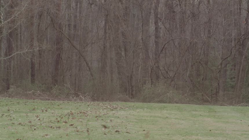 Based on the video a man in a red jacket and baseball cap is sitting on a lawnmower he begins to drive the lawnmower away from the camera