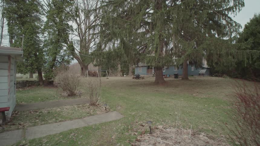 A low view of a suburban backyard with a path leading from a small building to a blue house with tall green trees and a bare swing set