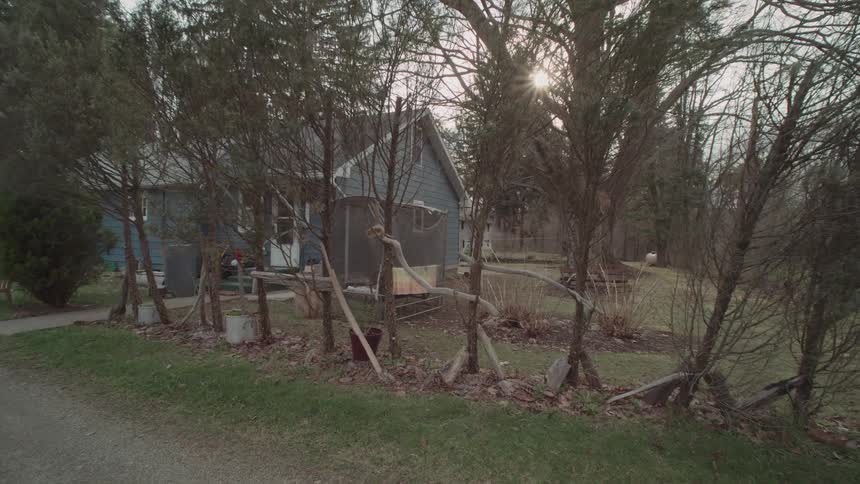 A long shot captures the front of a light blue house partially obscured by various trees and shrubs in the foreground a dirt road runs along the bottom of the frame and the sun shines through the branches on the right side