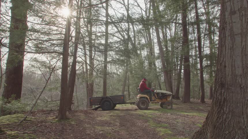 A man wearing a red jacket and a baseball cap is driving a yellow riding mower with a trailer attached through a forest with tall trees and bright sun flaring through the branches
