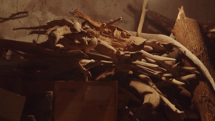 Twigs and pieces of wood next to a concrete wall indoors