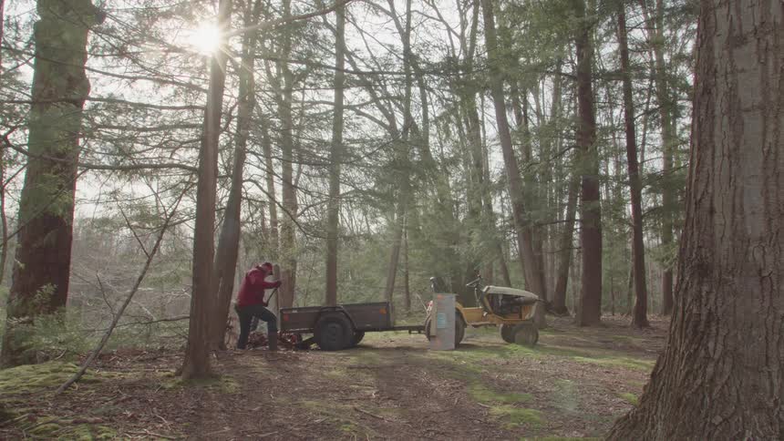 A man uses a shovel to push dead tree leaves out of the back of a trailer attached to a small tractor onto the ground in a forest then patting the leaves on the ground
