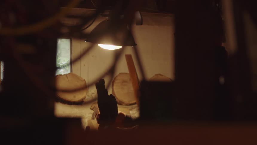 The video shows two distinct lines the first line is a vertical line formed by the handle of a hammer which is visible on the workbench the second line is a horizontal line of light that is created by a lamp hanging over the workbench