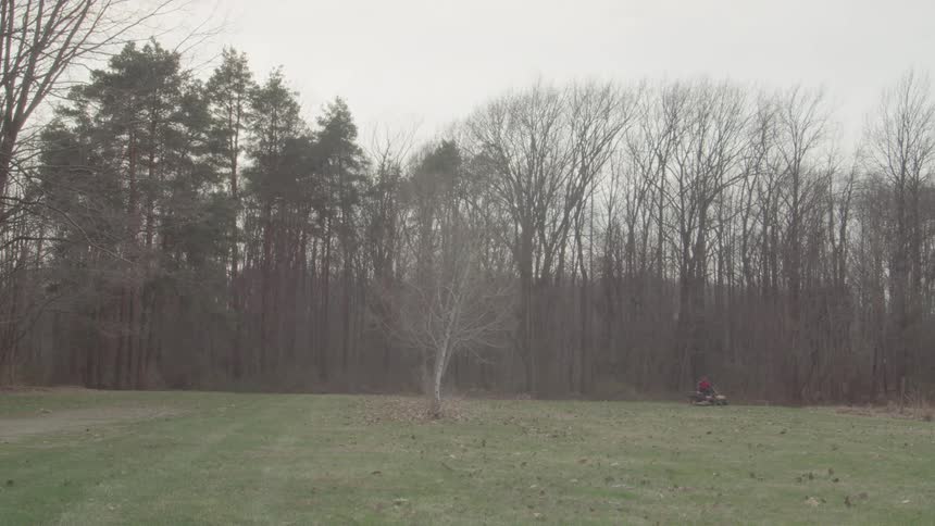 Person driving a lawn mower in a field near the forest