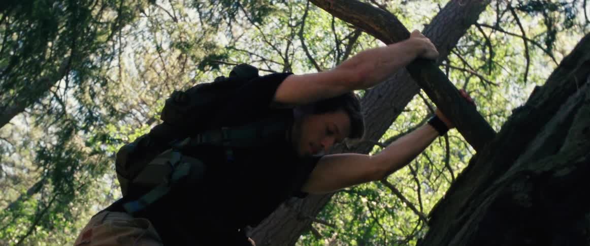 Man hanging from a tree branch attempts to climb tree