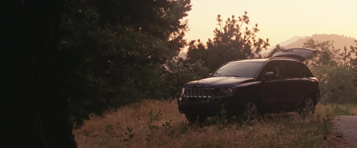 Black vehicle parked at the edge of the woods with an open trunk