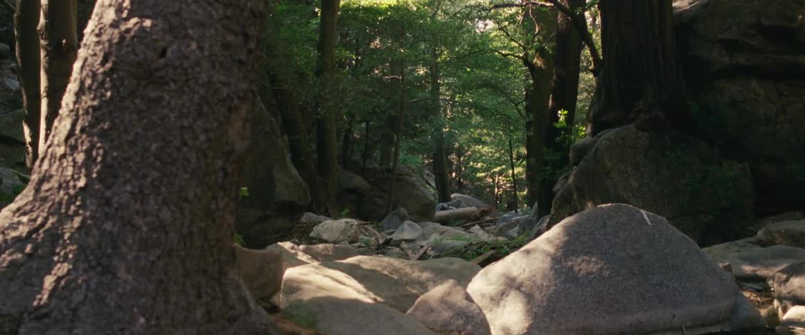 The hill is covered with huge stones leading to the forest