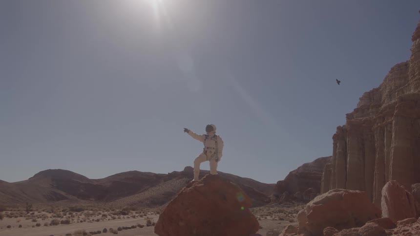 Person wearing an astronaut suit standing on a rock in a rocky terrain under the bright midday sun with a bird flying overhead