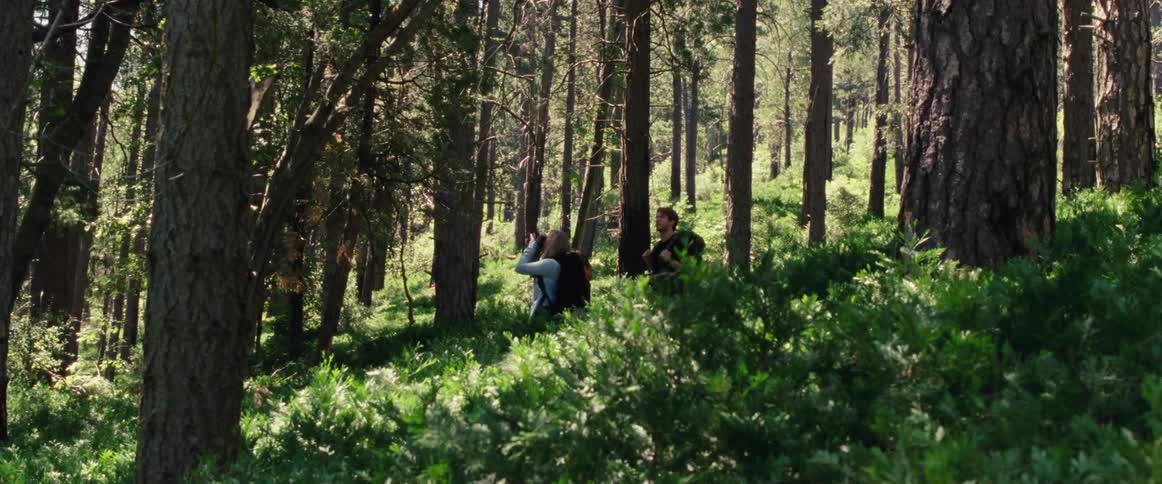 Backpacking couple walking through a forest and stopping to take pictures
