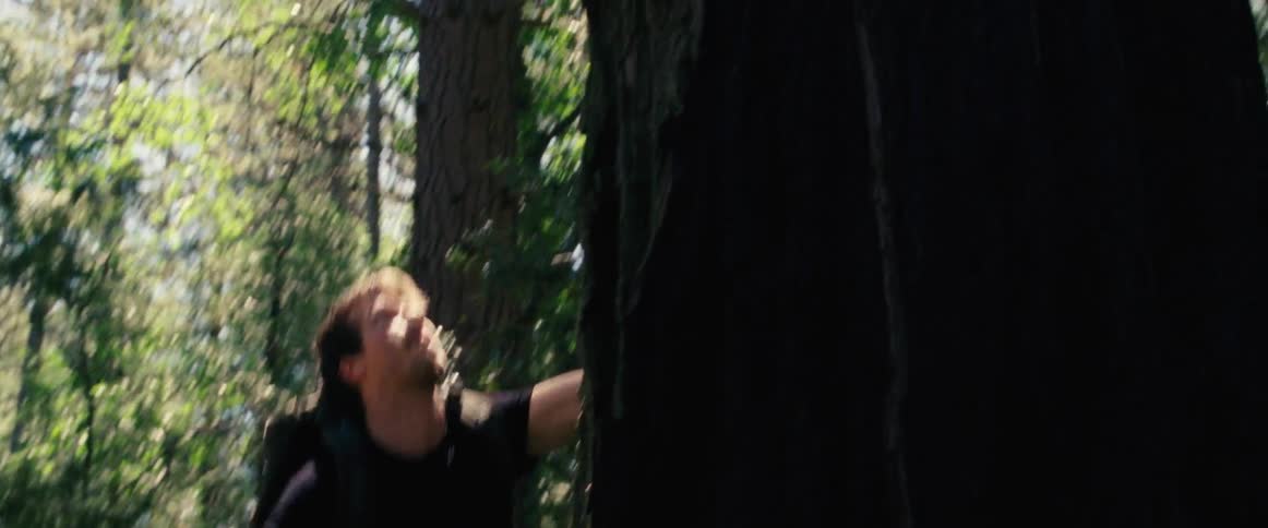 A couple of people walking through the woods and climbing on a tree