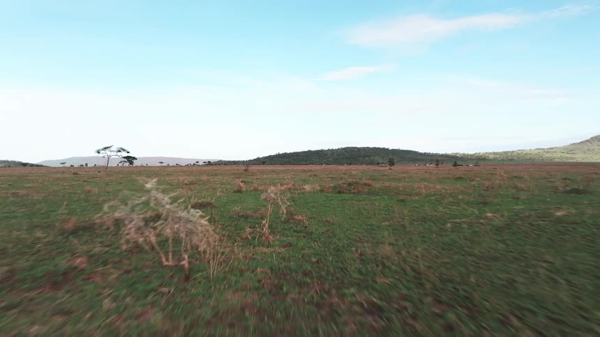A landscape of grassland with trees and a hill is shown