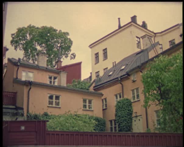 Wind blows the trees around the home