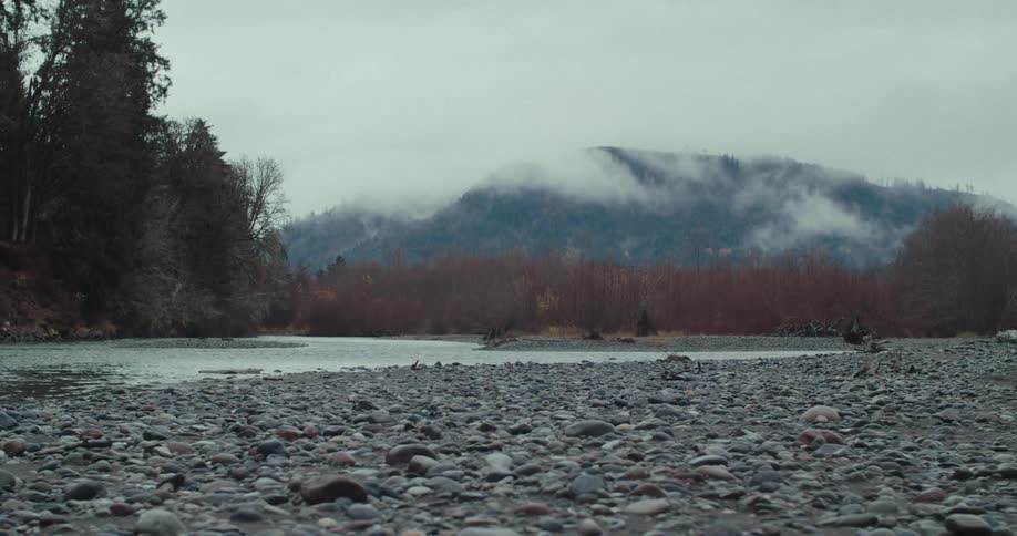 Stream flowing over a rocky bed lined with trees with a fogcovered mountain range in the background at midday
