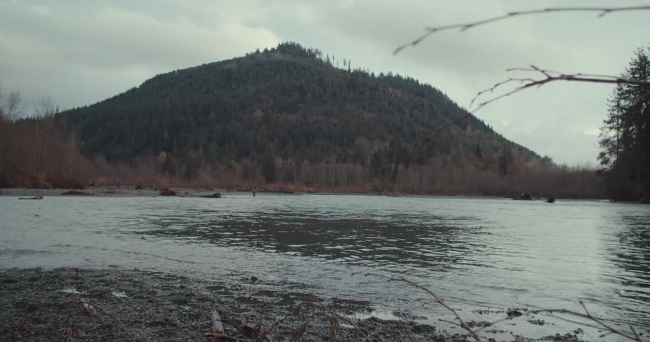 The bank of a wide river