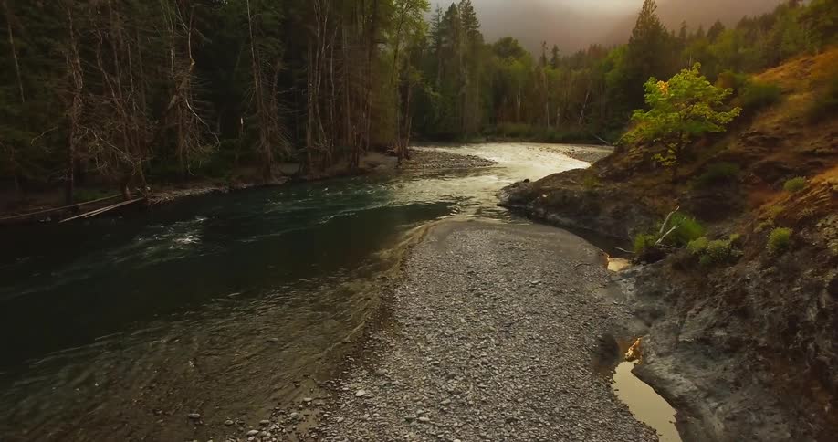 River flowing through a lush forest below foggy mountains