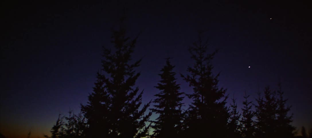 The silhouette of some pine trees on a dark morning with the sun setting on the horizon