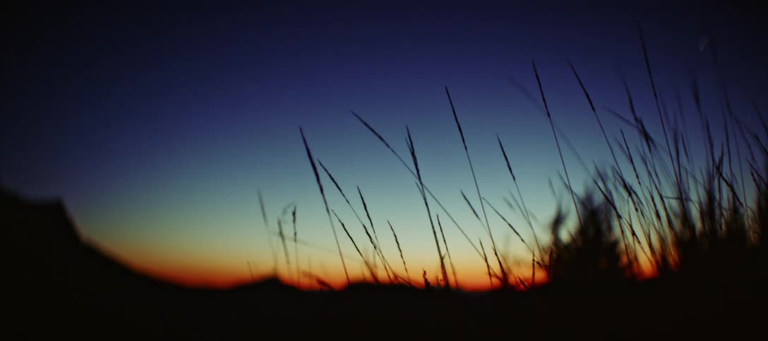 Grass waves in the wind while mountains and hills stand silhouetted against a red horizon