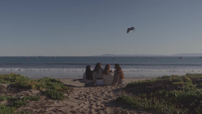 The bird flies over the friends sitting on the beach