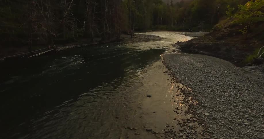 A view of a river flowing around small rocks and the woods