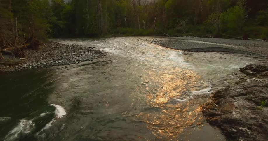 A view of a river flowing around small rocks and the woods