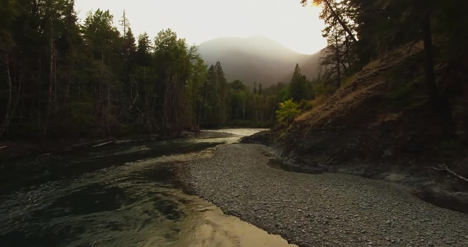 A river running through some trees in a wooded area