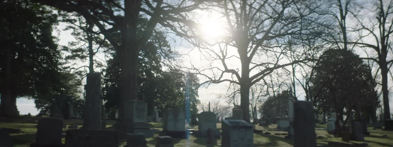 Graveyard surrounded by trees filled with numerous tombstones