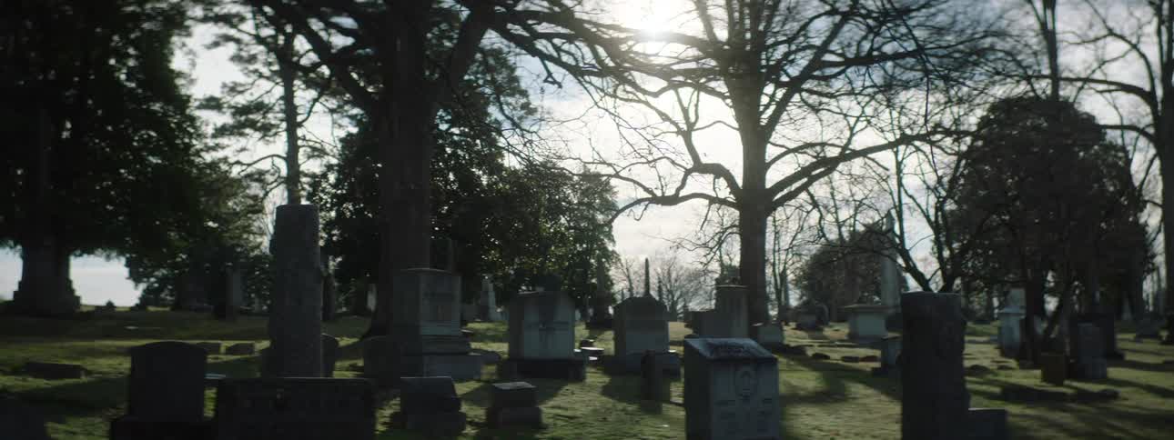 Sun shines through leafless trees onto a cemetery on a cloudy day