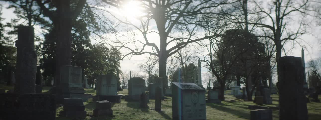 A slow camera movement pans and tilts up across a sundrenched old cemetery revealing rows of weathered tombstones and long shadows cast by bare trees