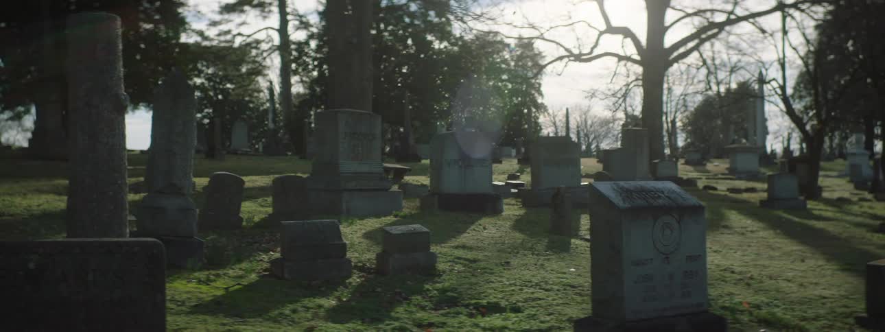 Multiple tombstones are in rows in a cemetery with grass and trees