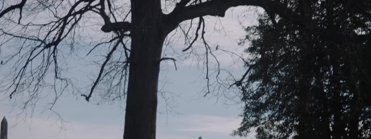 The camera pans down from tree branches and the sky to show a cemetery with tombstones on a hill