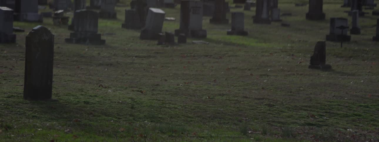 A camera panning up to reveal a graveyard full of tombstones and trees with the ground covered by grass