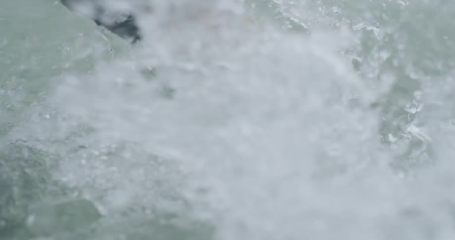 A person is holding a fishs tail and releasing it back into the water