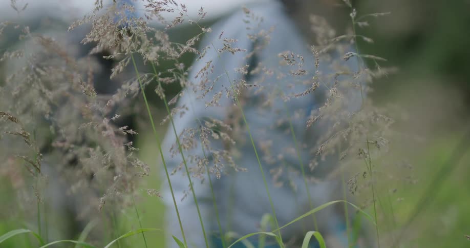 Closeup of tall grass with a blurred fisherman in the background