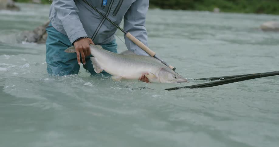 A woman and man in water up to their knees catching a fish on a net outdoors during day time