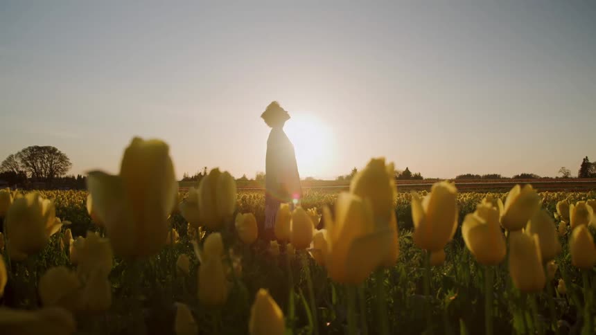 Silhouette of a young woman standing in a flower field outdoors at sunset