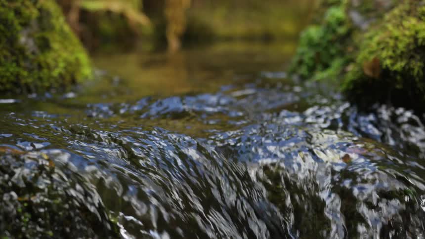 A tranquil extreme closeup shot captures the continuous gentle flow of a clear forest stream as it ripples and cascades over a small ledge with the soft focus on the lush mosscovered rocks beside it