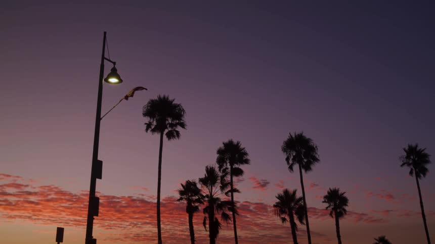 A tranquil static shot captures the dark silhouettes of several tall palm trees against a stunning sky that fades from fiery orange to a deep purple as a lone streetlight glows and a tattered flag flutters gently