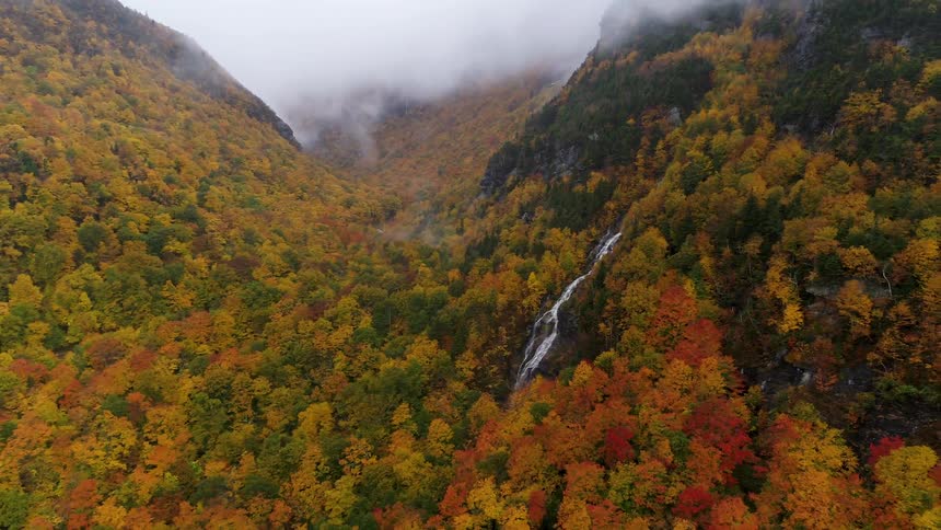 A stunning aerial shot pushes forward over a mountain valley blanketed in a dense forest of vibrant red orange and yellow autumn leaves as a waterfall cascades down the mountainside into the fogshrouded peaks