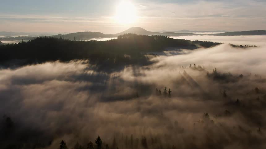 The rising sun shines upon trees atop a hill which casts long shadows on the fog below