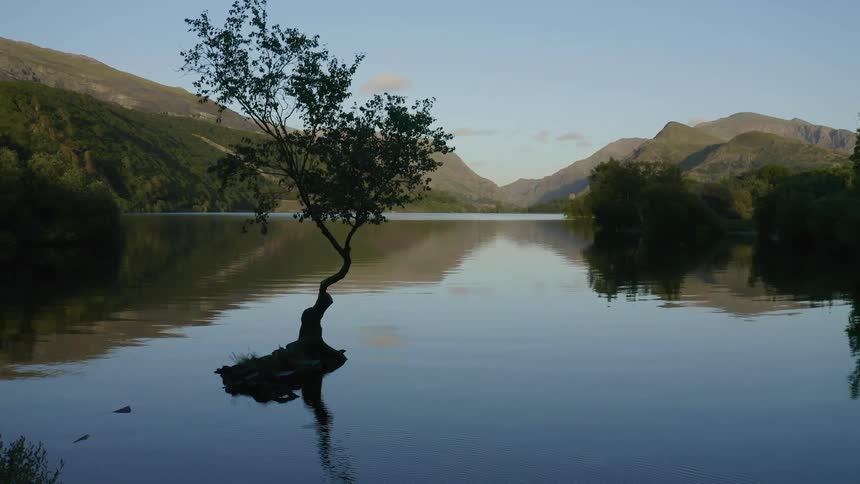 Tree grows on a small patch of land in a lake surrounded by mountains on a cloudy day