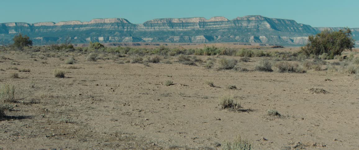 Desert with sparse shrubs and distant mountains under a clear sky