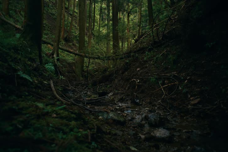 River flowing between gravels in the forest