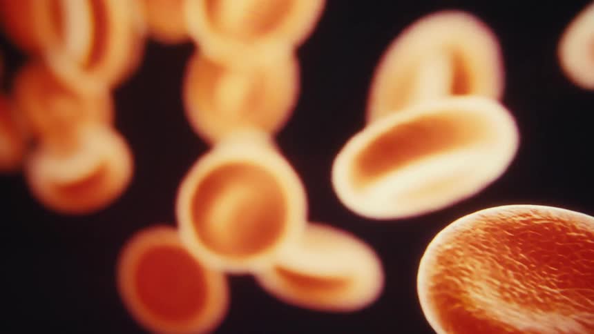 Cells are moving on the screen