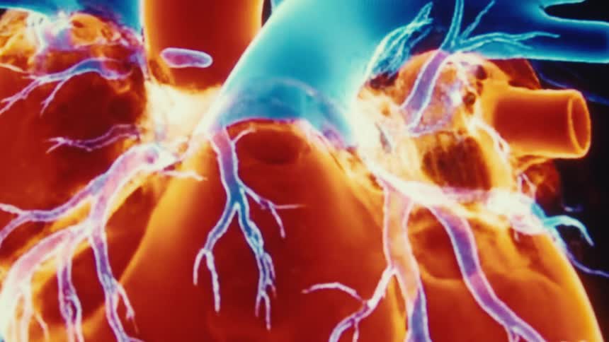 Animation of a heart beating in orange color displayed on a screen
