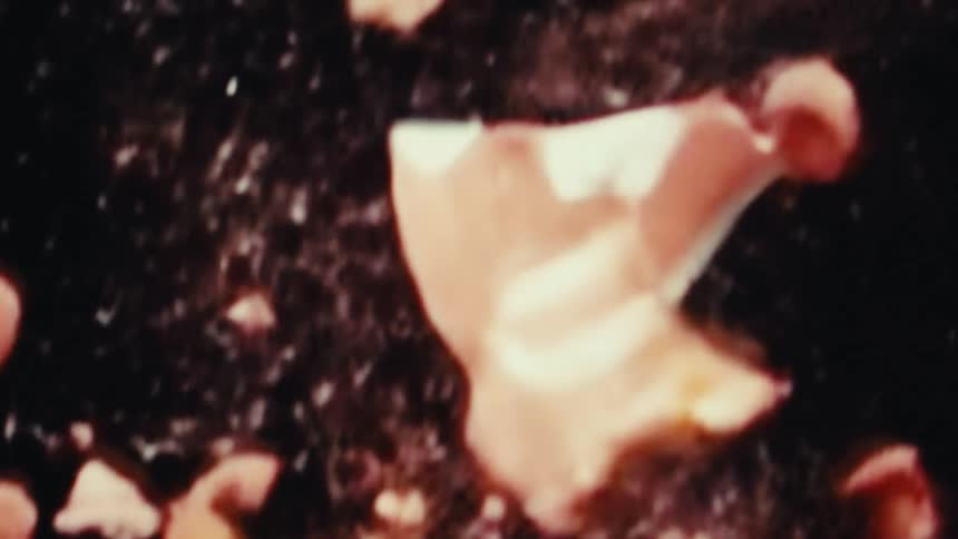 A pink ceramic piggy bank with a noticeable crack is shattered and the pieces explode downwards and outwards in a spray of fragments